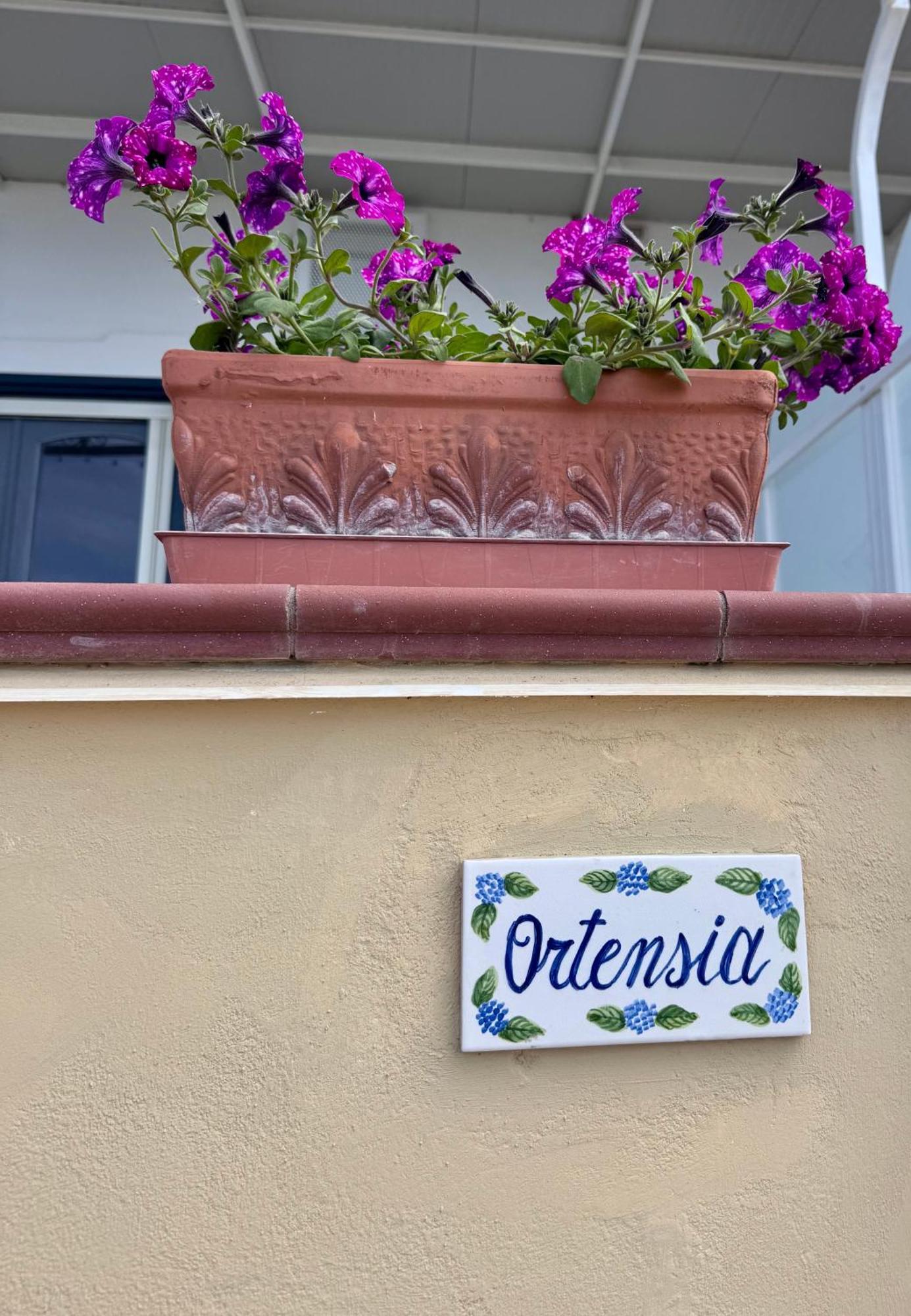 Il Profumo Dei Fiori Apartment Praiano Exterior photo